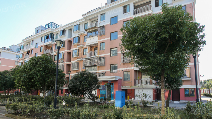 共何新村外景图