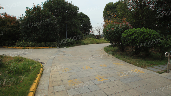 湾田国际外景图