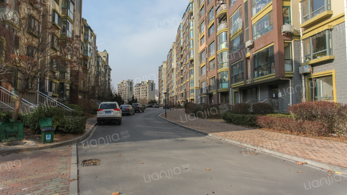 哈佛映像外景图