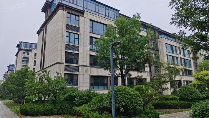 恒信·望岳府外景图