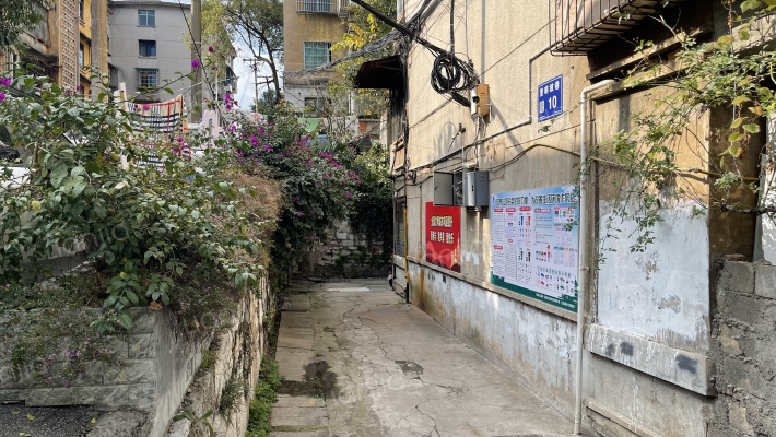 望哨坡巷10号外景图