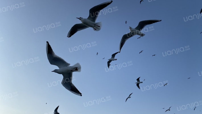 云南省信息技术发展中心外景图