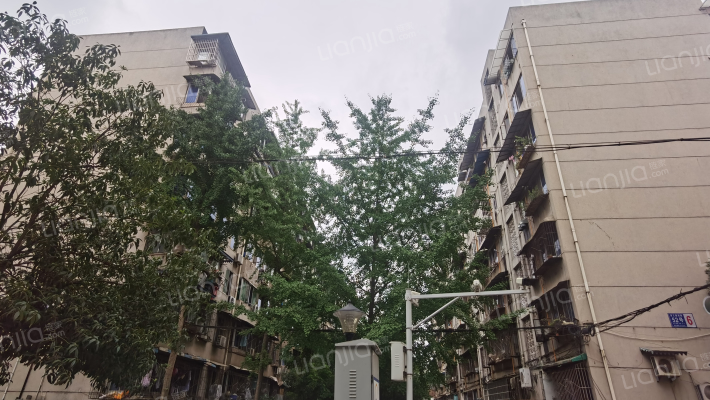 167厂桃花园小区外景图