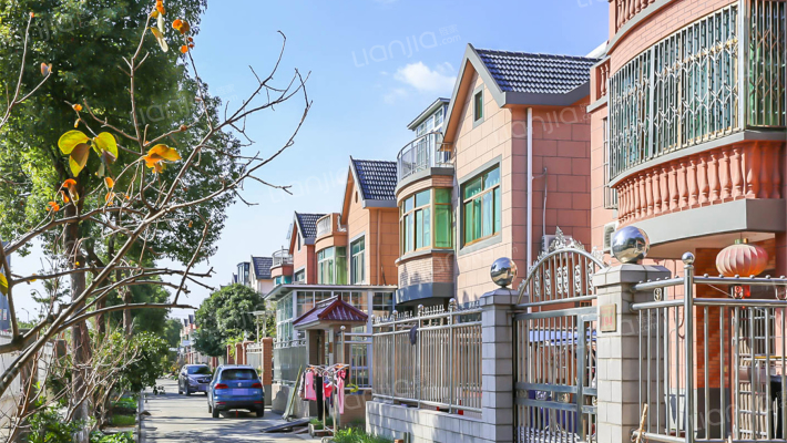 木瓜西区南外景图