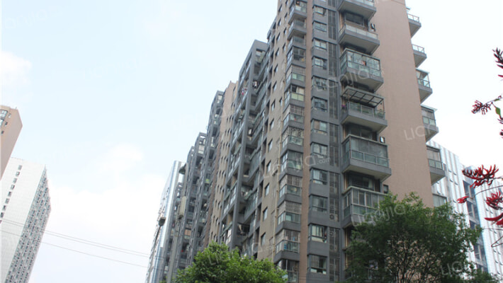 中大君悦金沙三期外景图