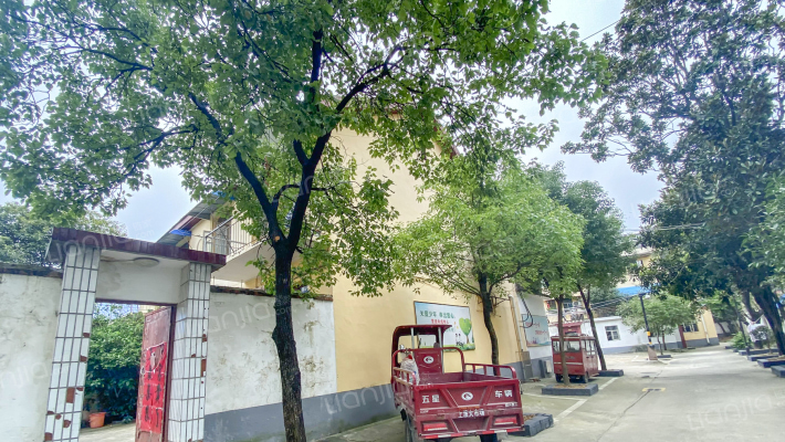 肥西县烟草局院家属楼外景图