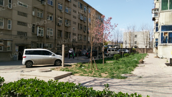 华柴西王生活区外景图