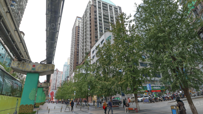 金茂大厦外景图