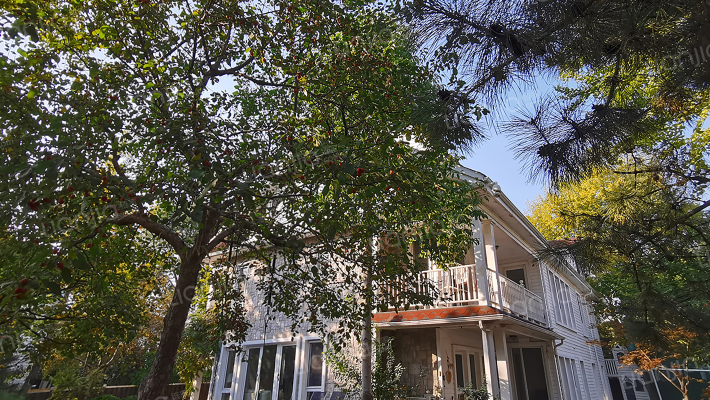 西山美墅馆E区外景图