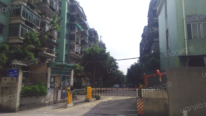 槎龙聚南宿舍外景图