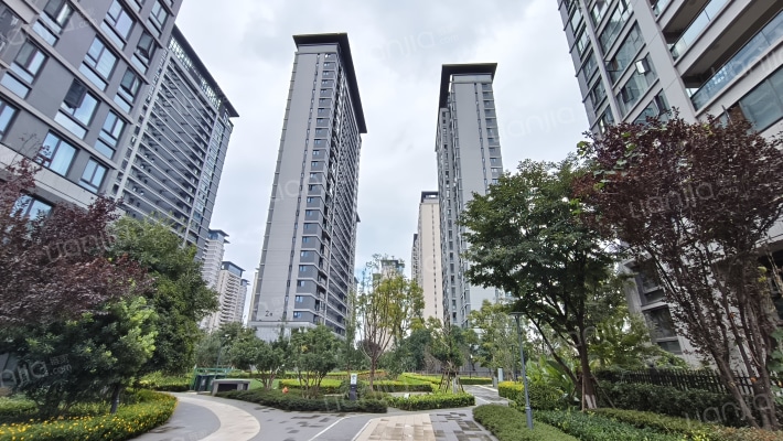 昆明融创文旅城花语海北区外景图