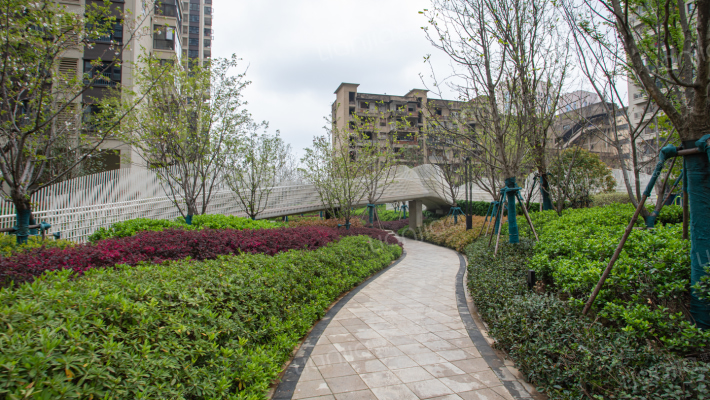 万科金域国际外景图