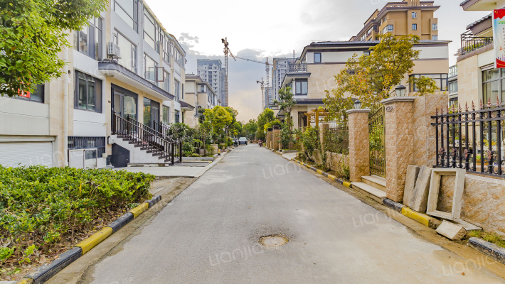 清城美墅外景图