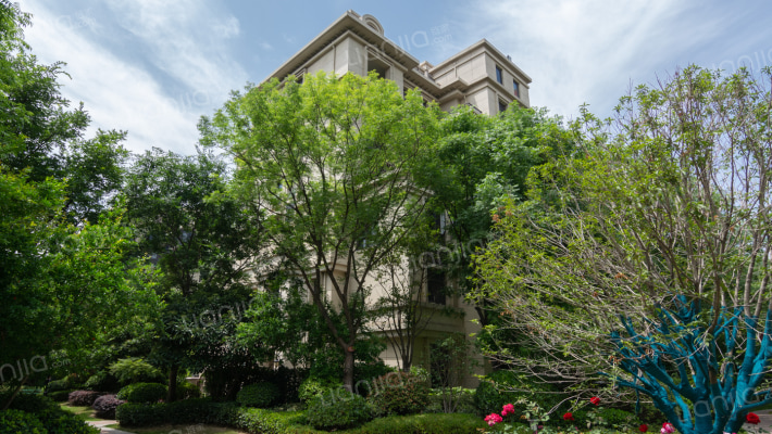 郑开橄榄城二期外景图