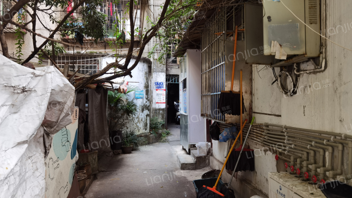 旭东路284号外景图