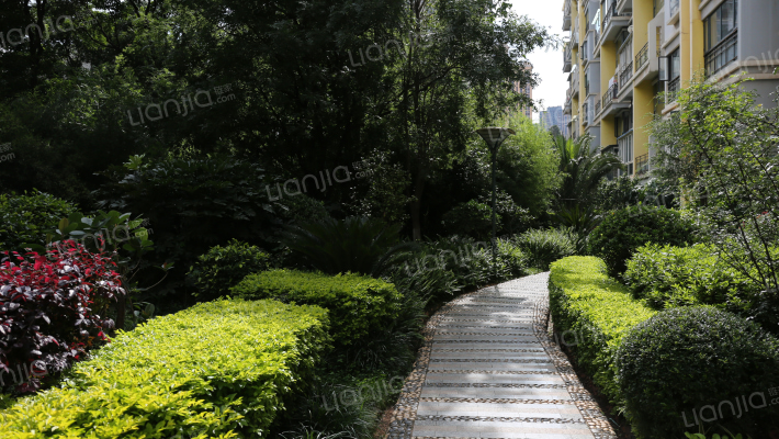 丽水天锦紫晶园外景图