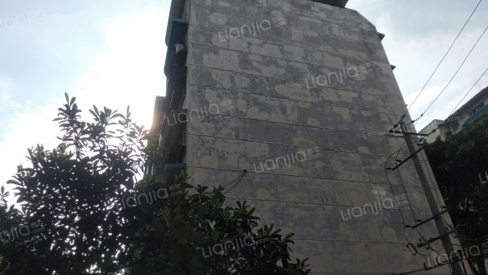 圃园路5号外景图