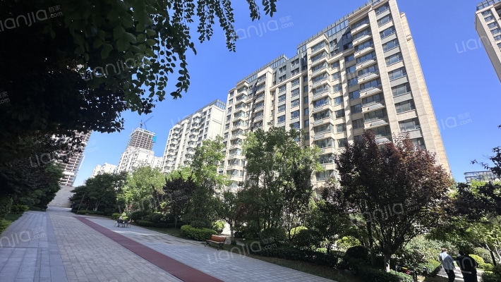 绿地IFC中央公馆B11区外景图