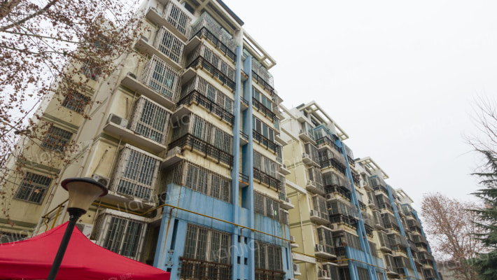 林荫大道外景图