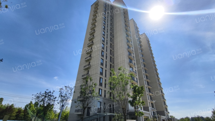 鱼先生的城外景图