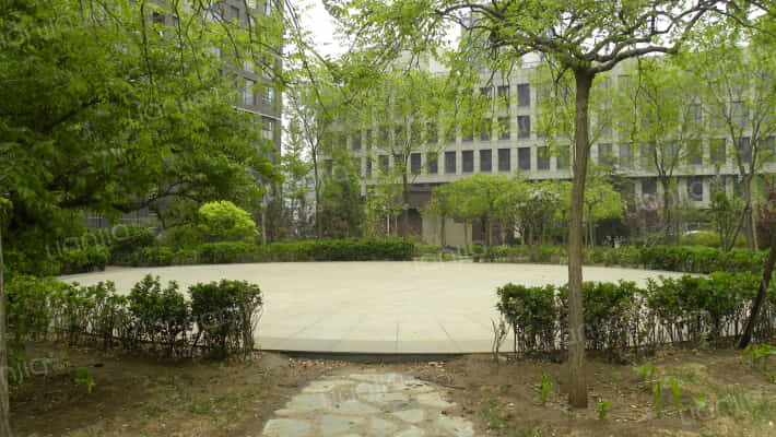 城市林曦外景图