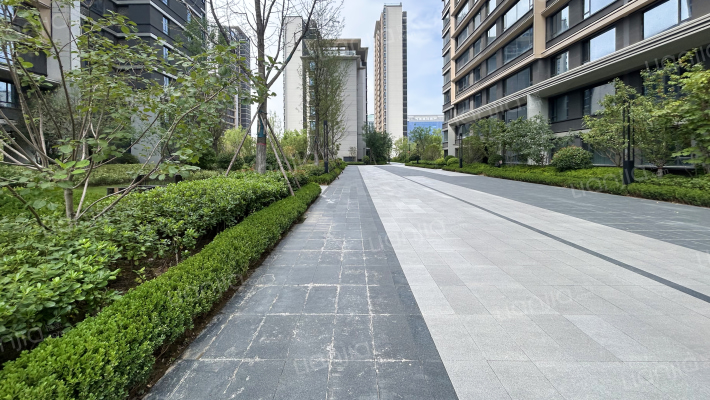 隆基泰和·云玺领峯外景图