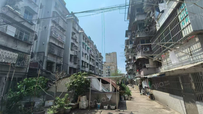 湖心南路171号外景图