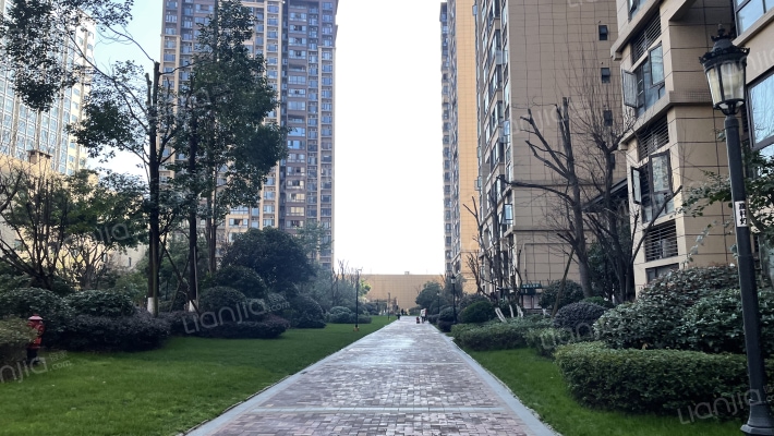 蓝光金悦府外景图