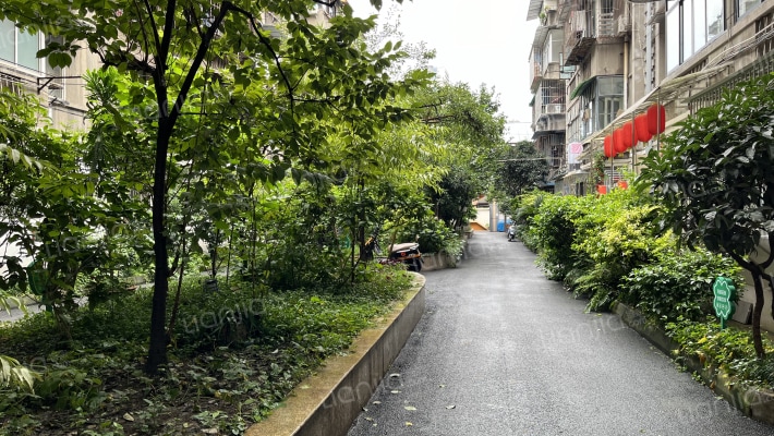 成华巷2号外景图