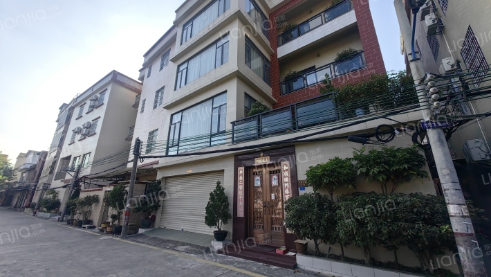 大地大道外景图