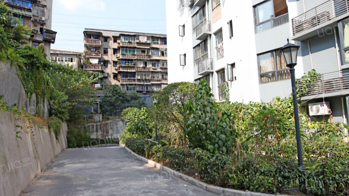 极鼎城市丽都外景图