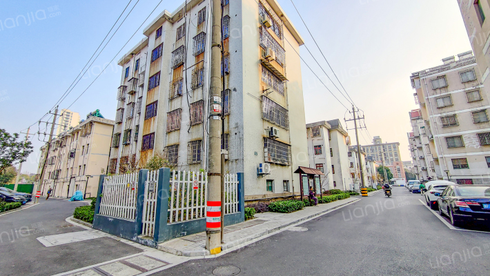 金菊花苑外景图