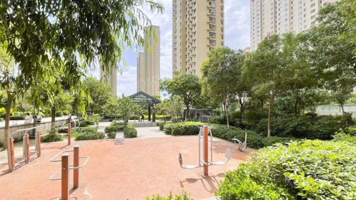 小米国际外景图