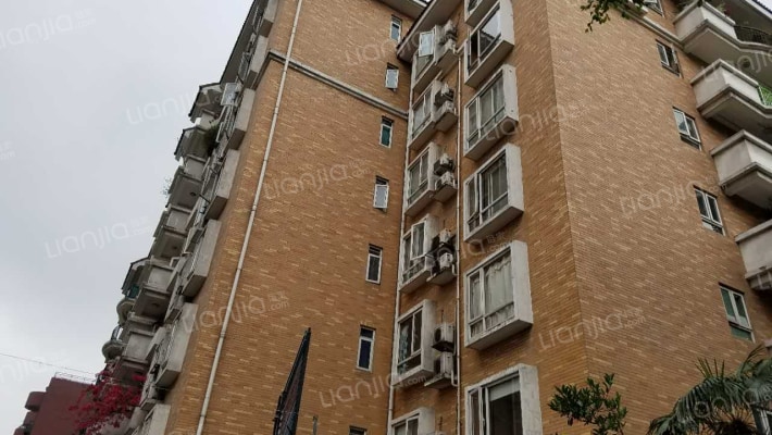 三九雅园外景图