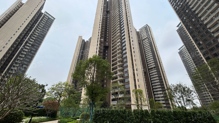 龙光天宸外景图