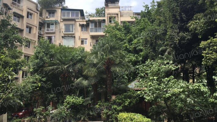 千和银杏花苑外景图