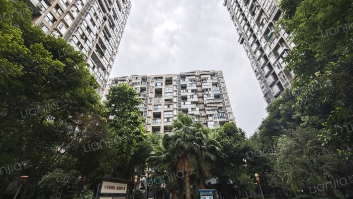 上霖东方外景图