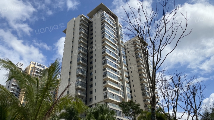 金地海南自在城蝶兰苑外景图