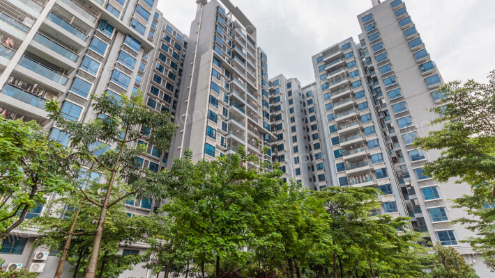 卫光花园外景图