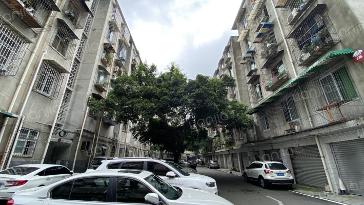 长冶路一段82号外景图