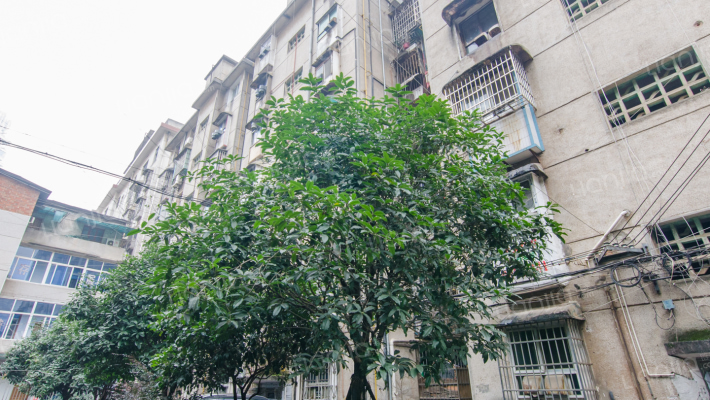 陈家巷9号外景图