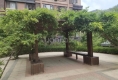 翡翠春城9