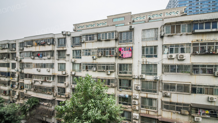 金城西苑外景图