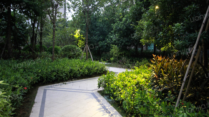 仁安花园外景图