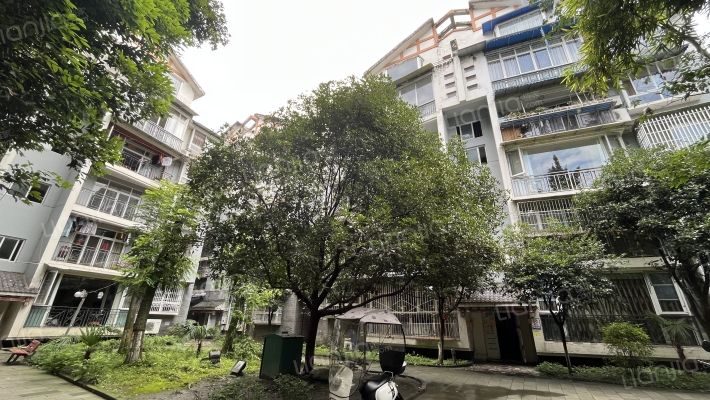 幸福风景外景图