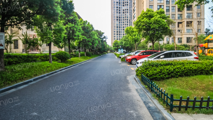 卡森卫星城王庭世家外景图