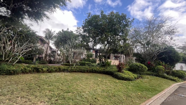 绿城·桃李春风外景图