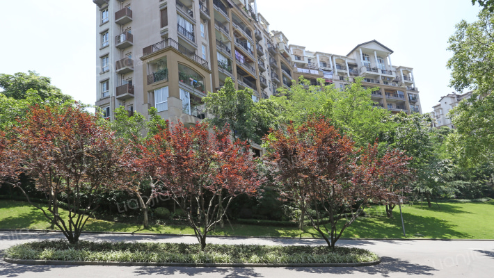 龙湖江与城海茨堡外景图