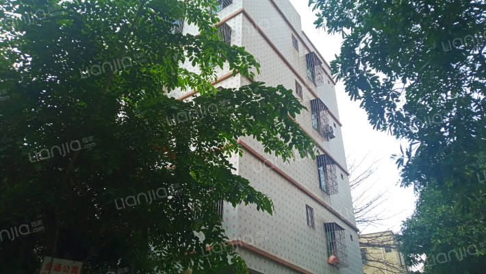 金通公寓外景图