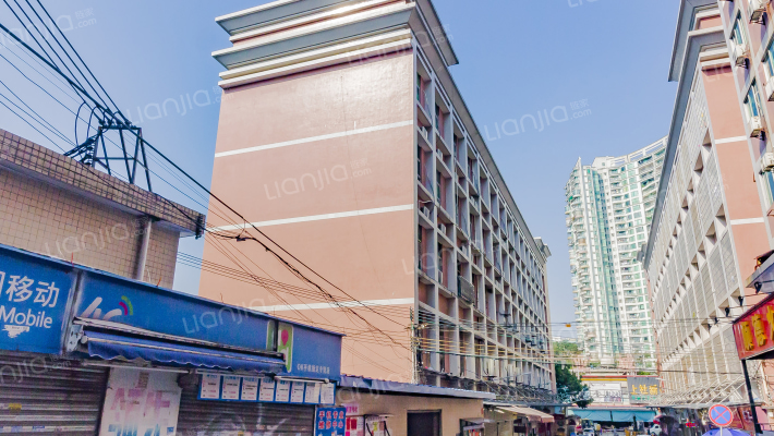 胡岗新村外景图